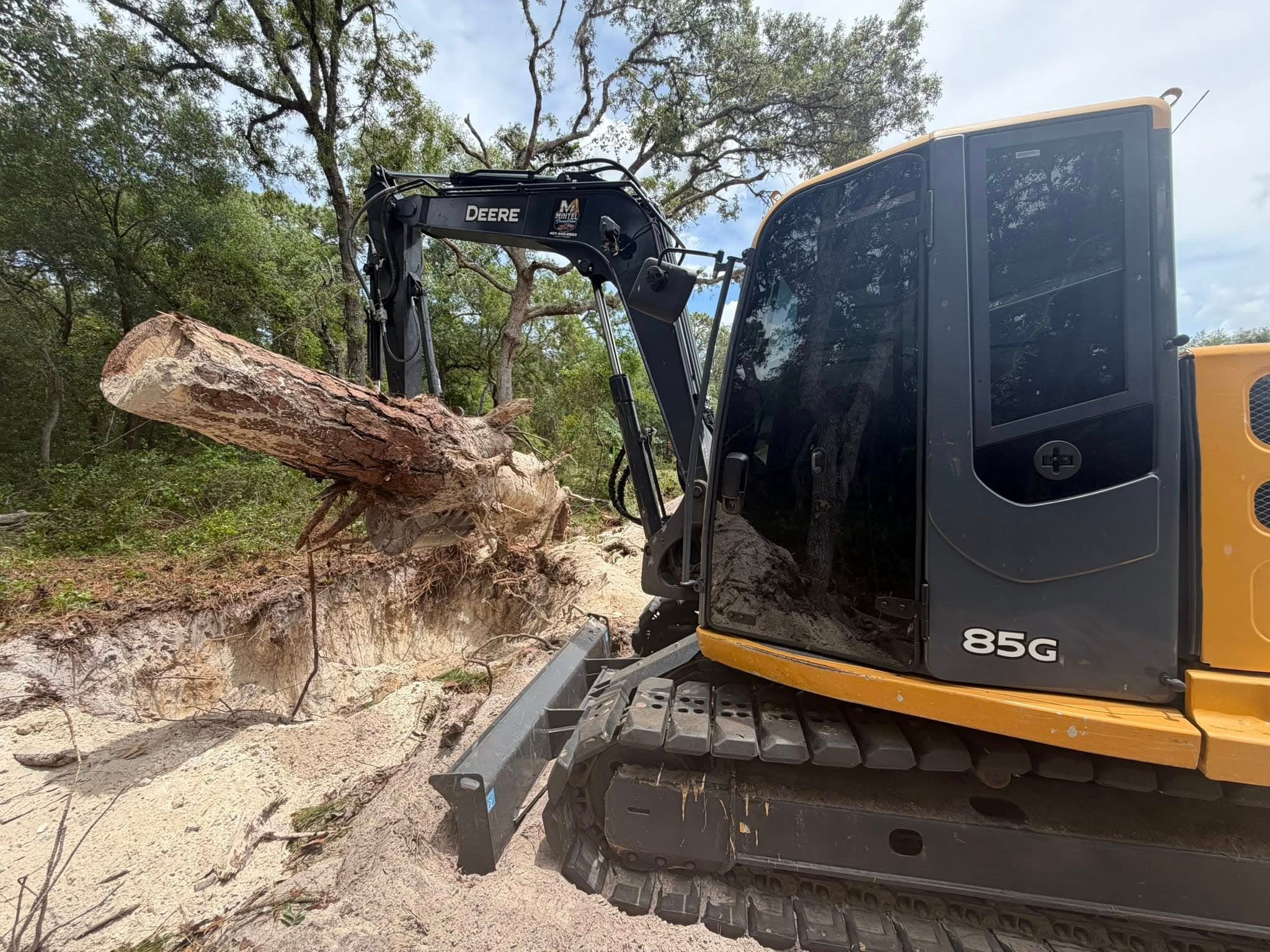Stump Excavation, Backfill & Haul-Off